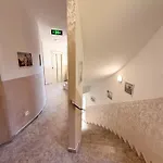 Viola *