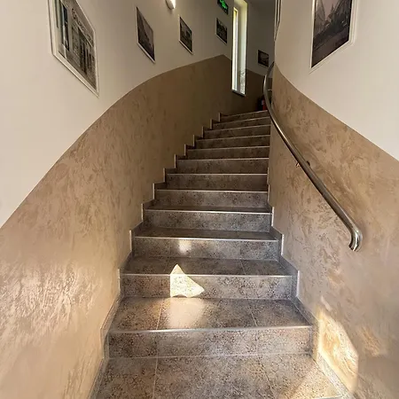 Viola * Dunajská Streda