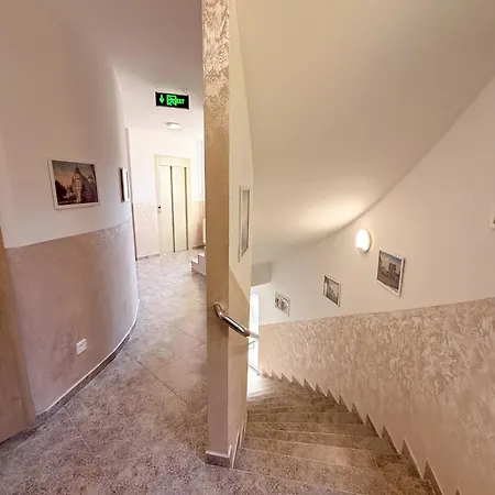 Viola *