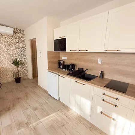 Viola Dunajská Streda