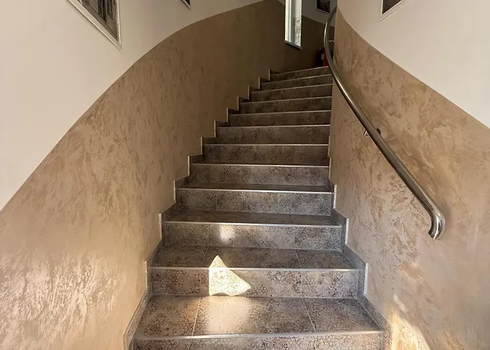 Viola * Dunajská Streda